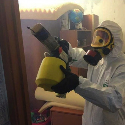 Уничтожение клопов в квартире. Восточное Дегунино 